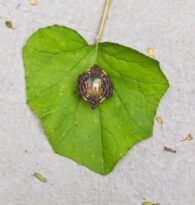 WhatsApp Image 2025-03-30 at 16.40.01